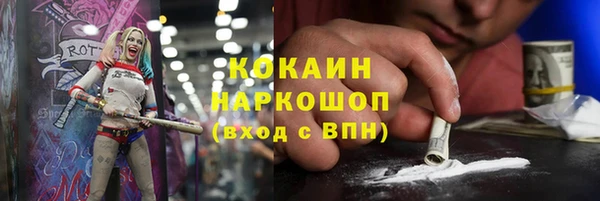 соль ск Белокуриха