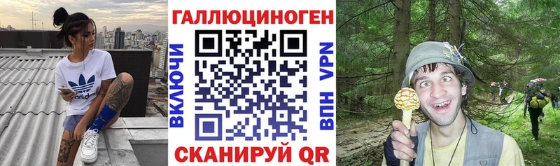 MEGA онион  Бологое  Псилоцибиновые грибы прущие грибы 